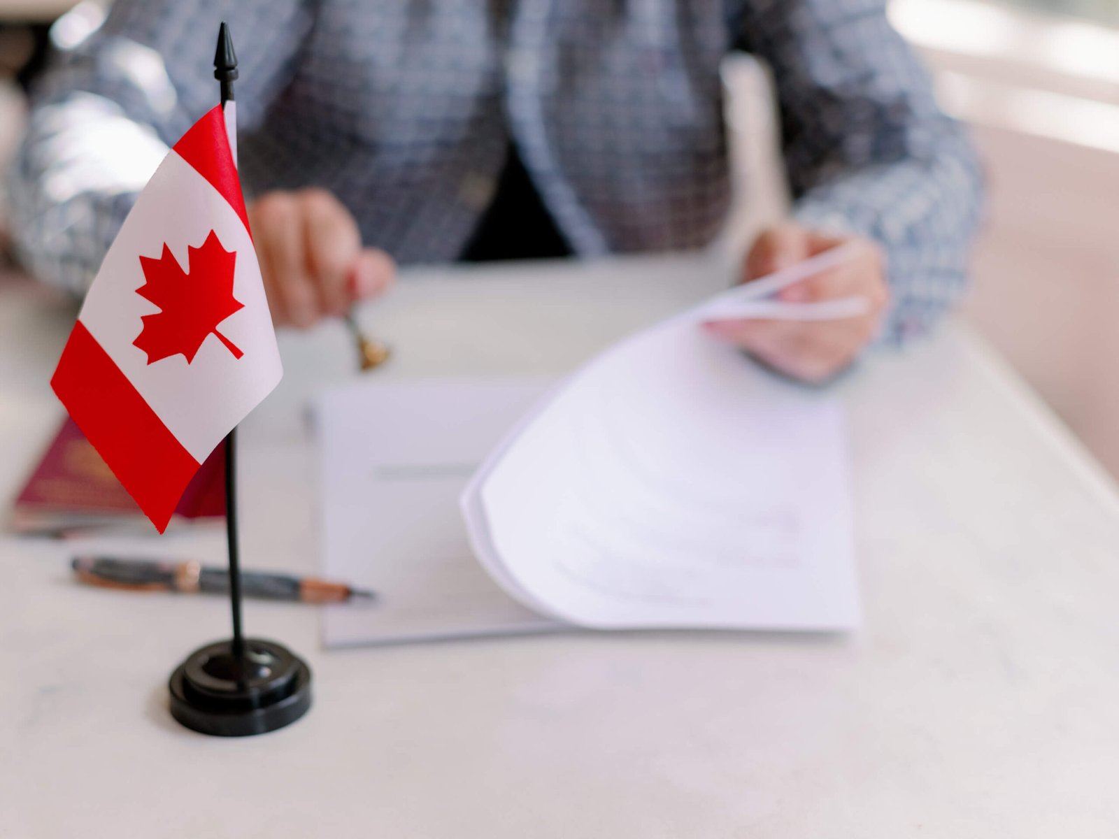 LawPro - Law Firm Divi Child Theme Image 6